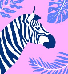 zebra vector illustration © FAKHAD