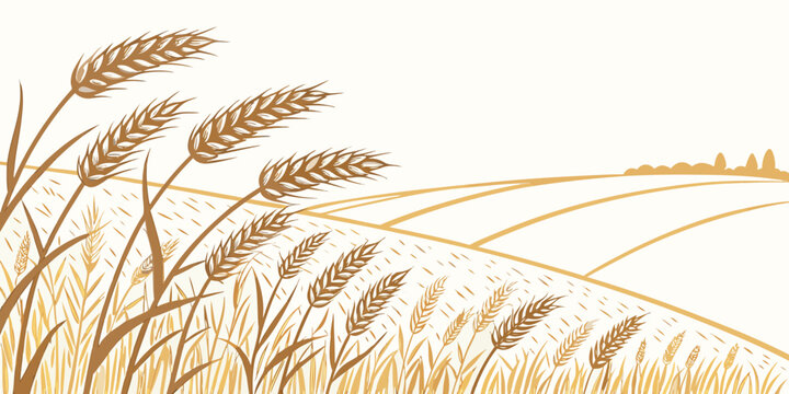 A close-up view of a field of wheat Vector