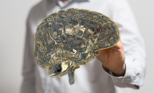 A person holds a 3D rendered brain. Image represents innovation, mind, and the future. Perfect for technology and scienc