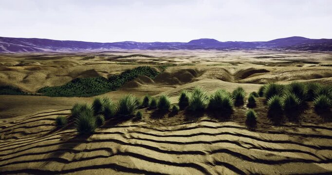 A breathtaking view of expansive desert terrain with undulating sand dunes complemented by vibrant patches of greenery. The interplay of light and shadow adds depth to this natural wonder.