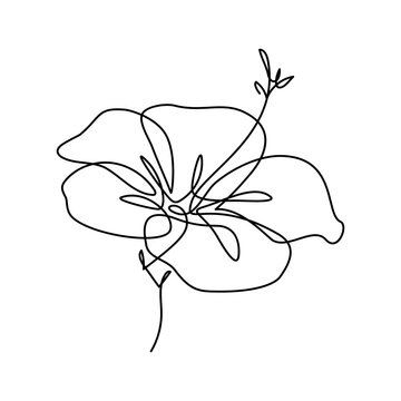 Flower in continuous line art drawing style. Hibiscus blossom black linear sketch isolated on white background. Vector illustration