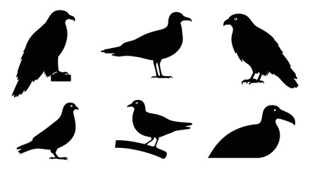 Collection of diverse bird silhouettes, vector illustration of various wild birds