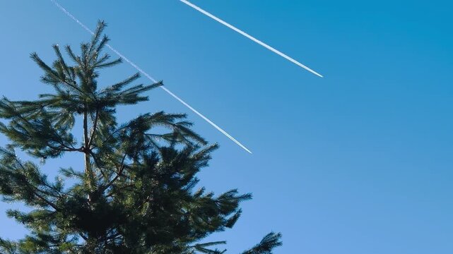 Italy, Limone Piemonte, February 26, 2026. 
Two Jet Airplanes Leaving Contrails in Clear Blue Sky.
 Djundiet A. 