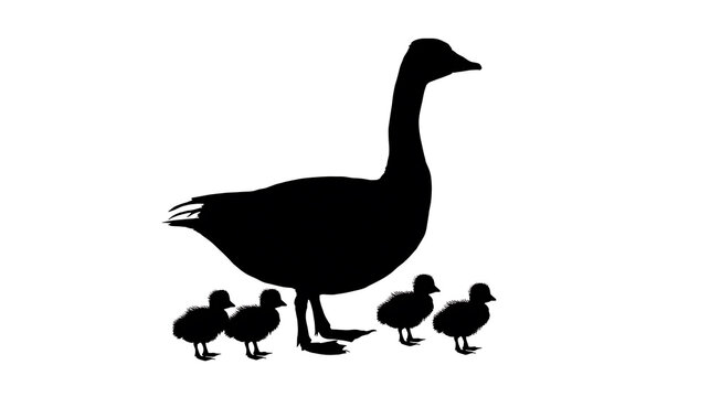 A goose and her goslings standing together in silhouette. The image portrays the elegance and simplicity of nature
