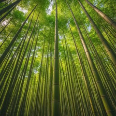 Fototapeta premium A vibrant, dense grove of tall green bamboo stalks reaching towards the sky, captured outdoors in natural daylight, representing environmental sustainability, growth, oriental, zen