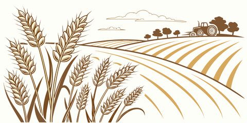 A field of wheat with a farm in the background Vector © Mithu