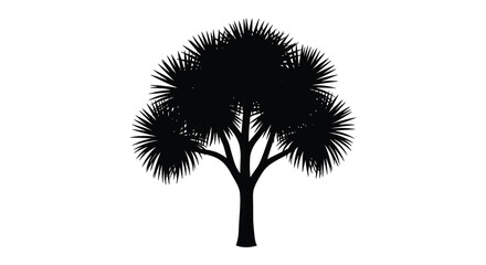 A striking detailed black silhouette of a palm like tree with many fronds against a white background silhouette high quality © Asikder02