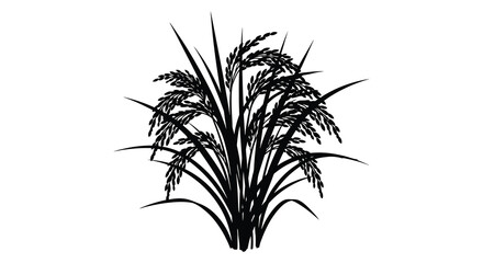 A striking black and white illustration depicts a cluster of rice plants with detailed stalks and leaves a silhouette © Asikder02