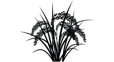 A striking black and white illustration depicts a cluster of rice stalks with elegant sweeping forms a beautiful silhouette high quality © Asikder02