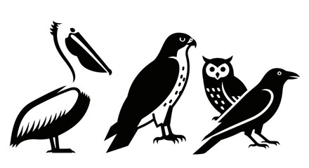 Obraz premium Bird Silhouettes Collection: Pelican, Hawk, Owl, and Crow Vector Icons