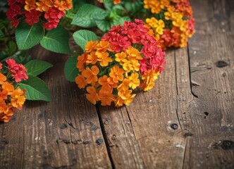 Close-up of lantana flowers on weathered wooden boards,  outdoor,  details,  floral
