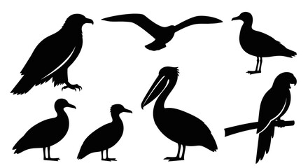 Fototapeta premium Diverse Bird Silhouettes Set Isolated on White Background for Wildlife Design