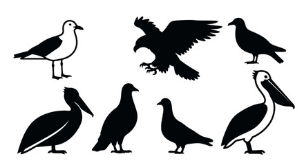 Naklejka premium Diverse Bird Silhouettes Vector Collection: Seagull, Eagle, Pigeon, and Pelican Icons Set
