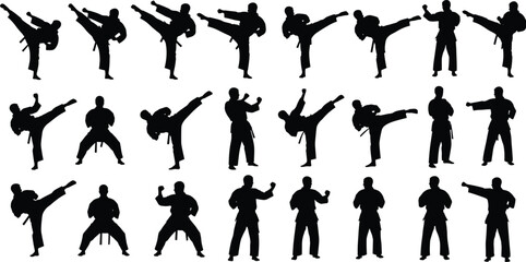 Martial arts karate fighter silhouette collection showing multiple kicking and fighting poses isolated vector set for combat sport training concept © MstMohasana