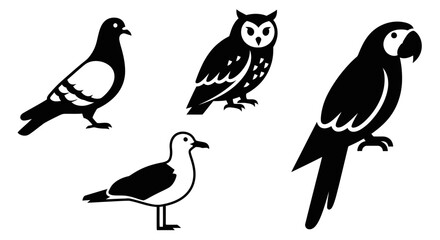 Bird silhouettes set: pigeon, owl, parrot, and seagull icons