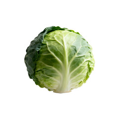Fototapeta premium Fresh green cabbage head with vibrant leaves for healthy eating