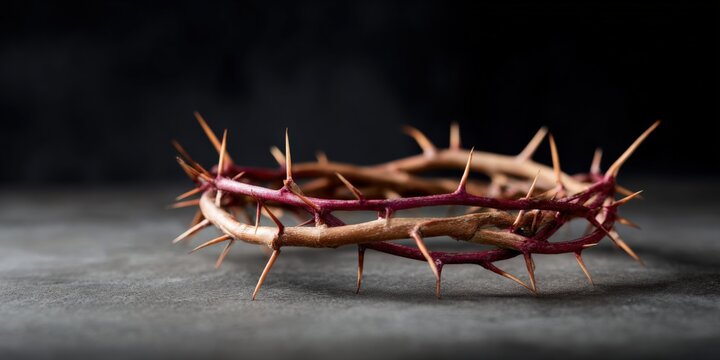 Crown thorns rustic natural texture brown red hues on tabletop with sharp spines and neutral backdrop evoking passion and raw symbolism