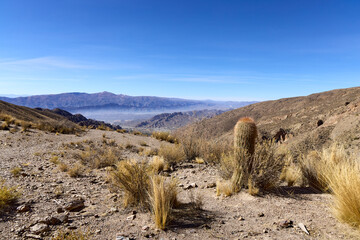 Expansive view of Bolivia's dry Andean landscape. A barrel cactus stands among sparse vegetation with distant hazy mountains under a clear blue sky.