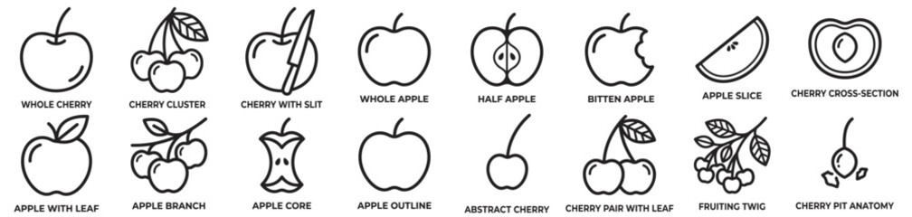 apple and cherry outline vector icon set, fruit whole slice half core branch and cluster line illustrations isolated on transparent background
