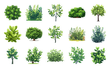 Fototapeta premium PNG Lush green foliage collection on transparent background
