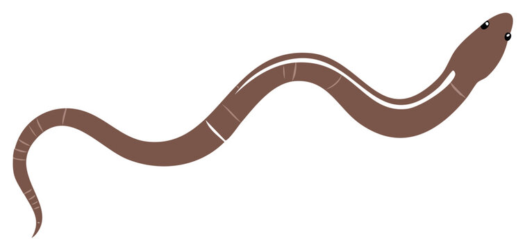 Cartoon earthworm wiggling, brown worm with segments, kids animal character