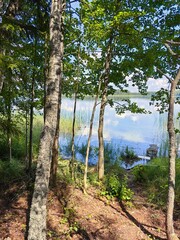 Summer landscape on a lake with trees, picnic and fishing in nature.