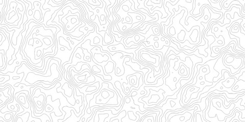 Topographic Contour Line Map Pattern Abstract Seamless Terrain and Elevation Line Art Background. © NILUFA