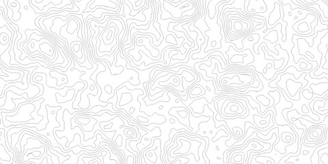 Topographic Contour Line Map Pattern Abstract Seamless Terrain and Elevation Line Art Background. © NILUFA