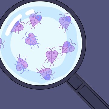 Giardia  lamblia under the microscope