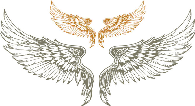 Angel wings illustration with golden and grey feathered wings