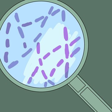 Bacillus anthracis under the microscope