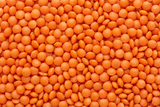 Full frame seamless background texture of dry red lentils for healthy cooking and diet concepts