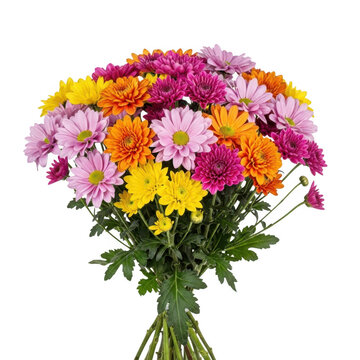 A bouquet of colorful chrysanthemums