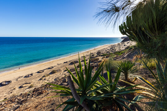 55 Playa de Esquinzo, Fuerteventura Canarie