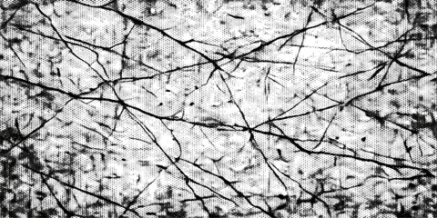 Obraz premium Snow covered tree branches with leaves in a cold winter landscape against a bright sky