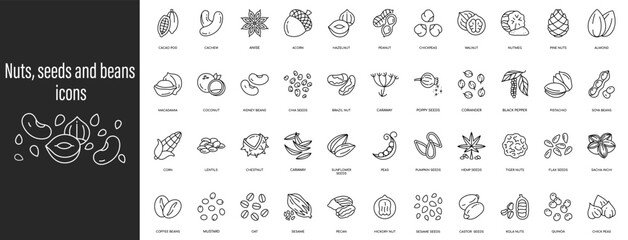 Fototapeta na wymiar Nuts, seeds, and beans icon collection