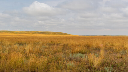 Obraz premium Expansive Prairie View With Puffy Clouds Over Saskatchewan