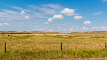 Ranchland Prairie with Distant Badland Buttes