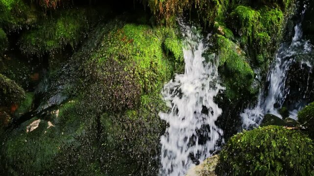 Mosscovered rocks with cascading stream in Caucasus mountain forest, closeup view of slow waterfall winding over emerald moss and wet stones, soft dappled sunlight filtering through canopy, peaceful