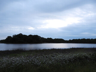 Naklejka premium The scenic beauty of the wetlands within the Bombay Hook National Wildlife Refuge, Kent County, Delaware. Spring season, low light, cloudy day.