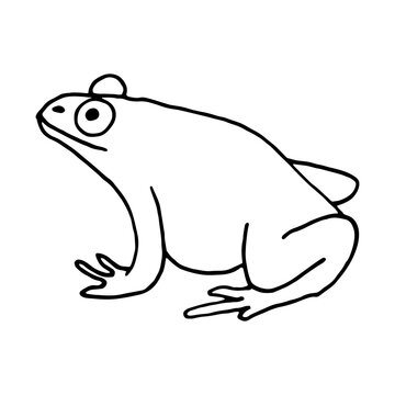 Cute black and white doodle element frog. Hand-drawn vector line art  on a white background isolated.
