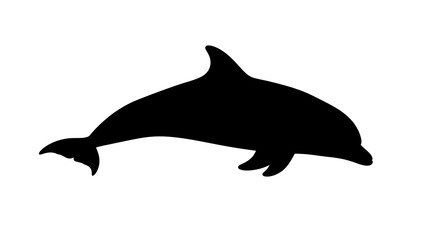 Fototapeta premium Black silhouette of a dolphin swimming.