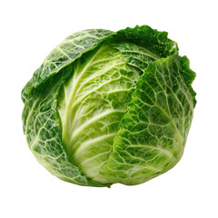 Fototapeta premium Fresh green cabbage head isolated on transparent background