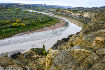 Bison, wild horses, elk, coyotes, and numerous species of birds live here.