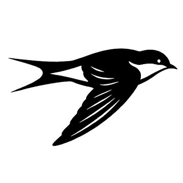 Silhouette of a flying swallow