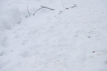 Natural snow texture. Smooth surface of clean fresh snow. Snowy ground.