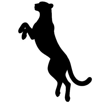 Black leopard silhouette