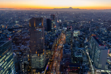 Fototapeta premium View of Shibuya downtown in Tokyo with high-rise towers clustering in Shibuya area in dusk