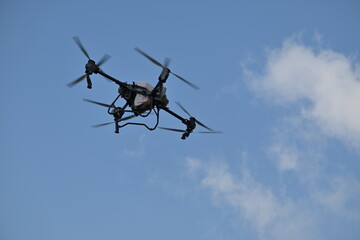 Fototapeta premium Agricultural drone spraying fruit trees after pruning in orchard for precision aerial crop protection
