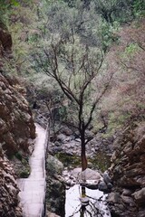 Fototapeta premium October 7th - Beijing: Hiking at Mountain and Hills in Beijing